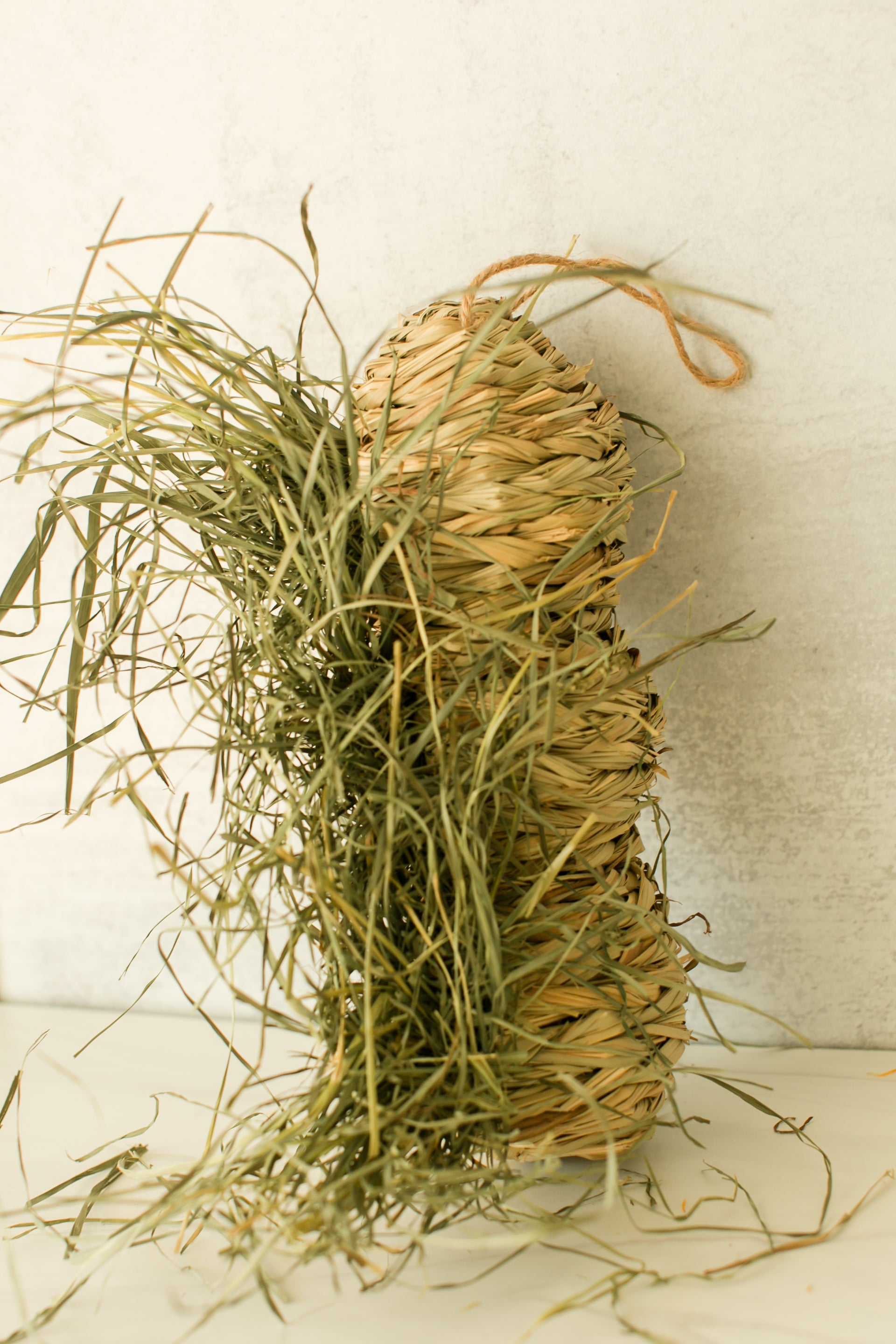 Hanging Reed Grass Nest (Filled)