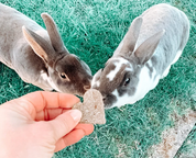 Love Heart Chews