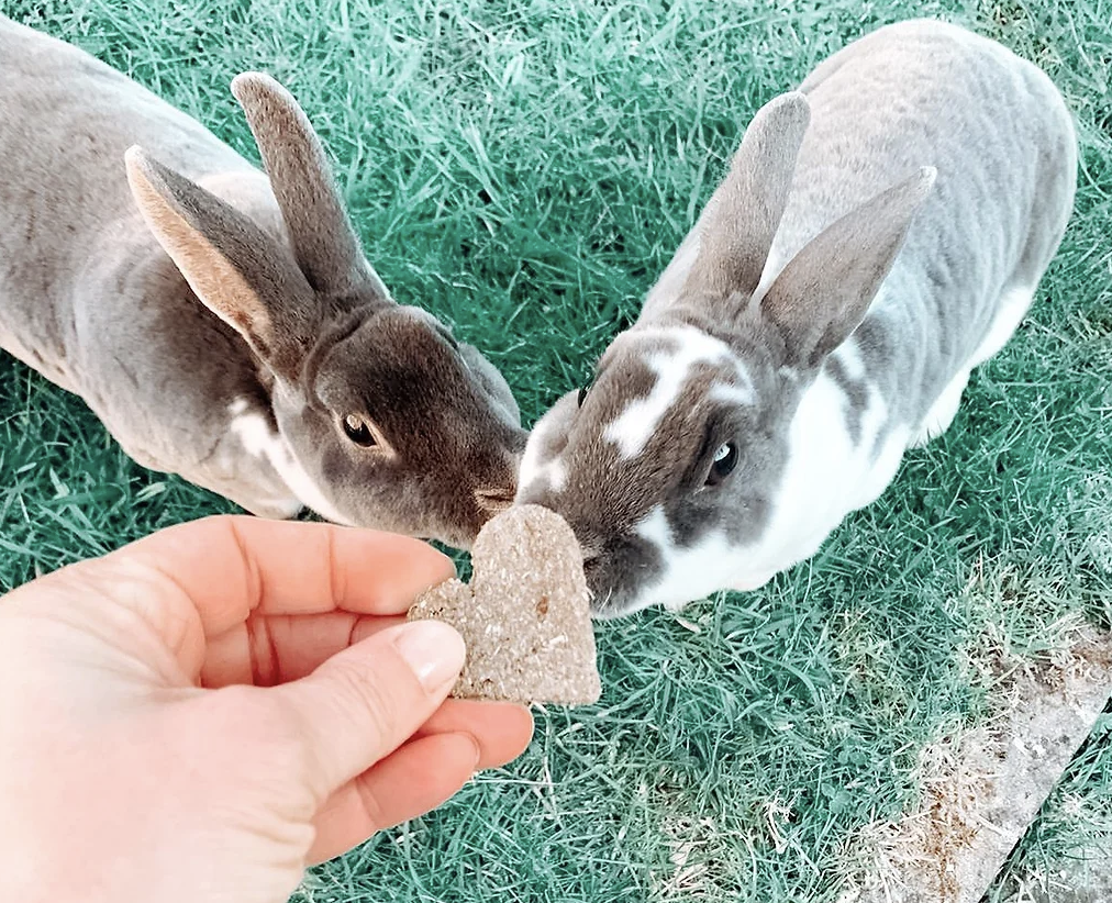 Love Heart Chews